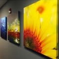 CANVAS BASKI